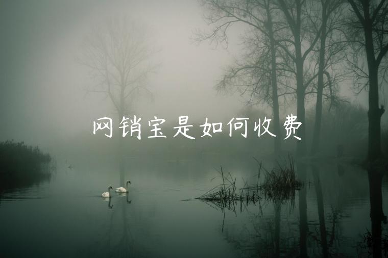 網(wǎng)銷寶是如何收費(fèi)